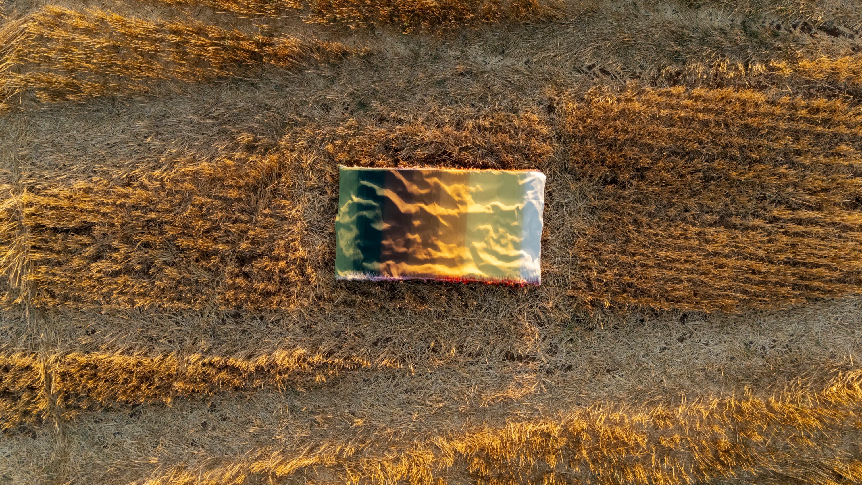 Complex Ties — image 8