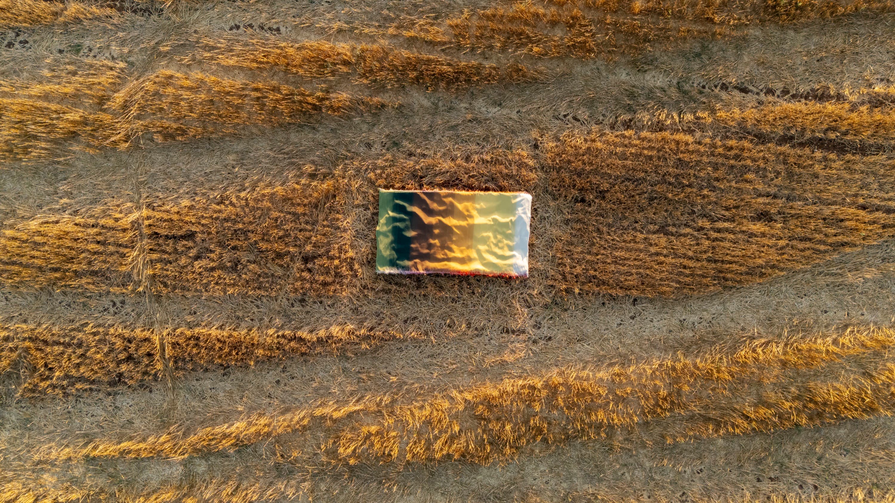 Complex Ties — image 9