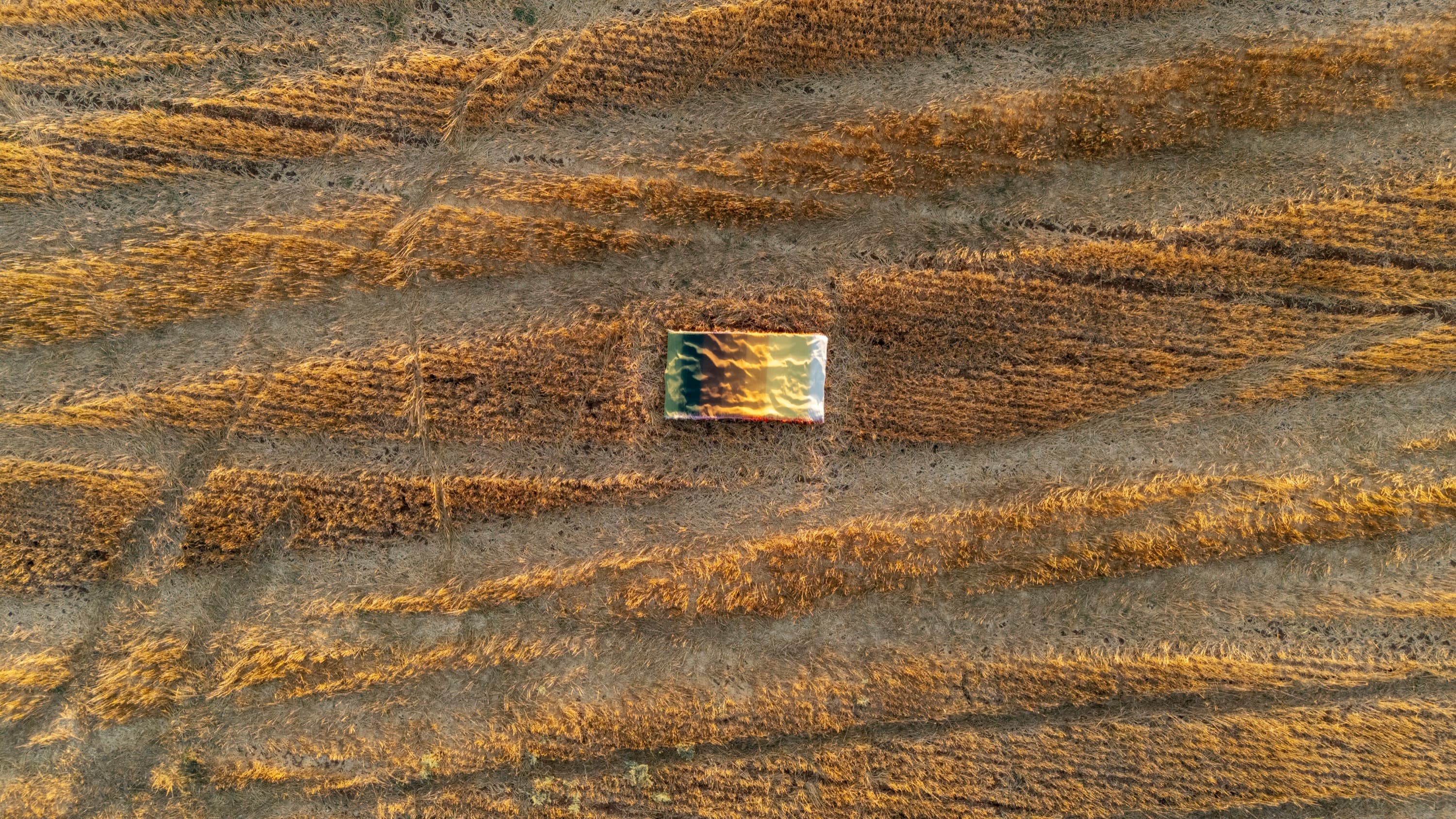 Complex Ties — image 10