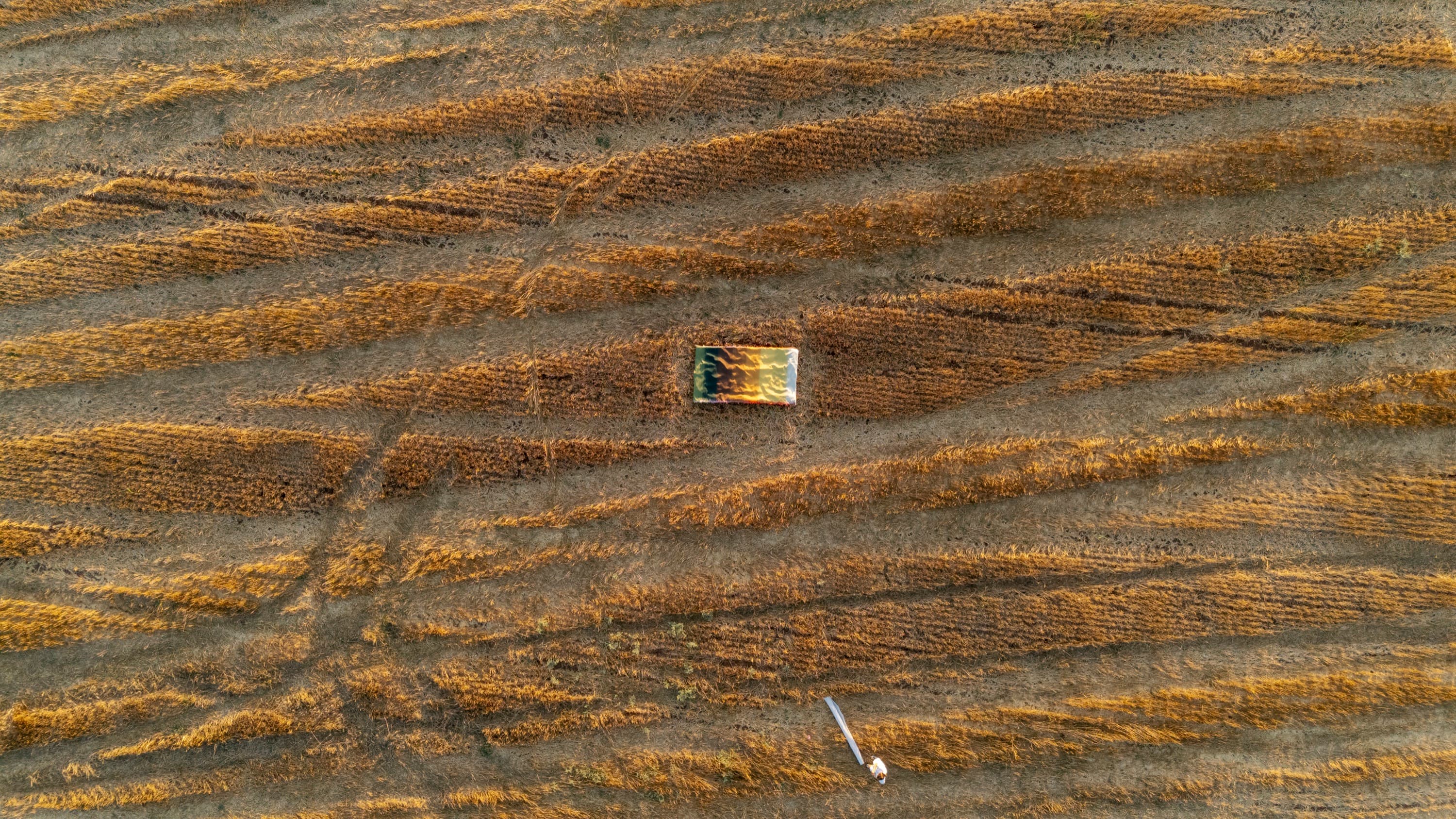 Complex Ties — image 11