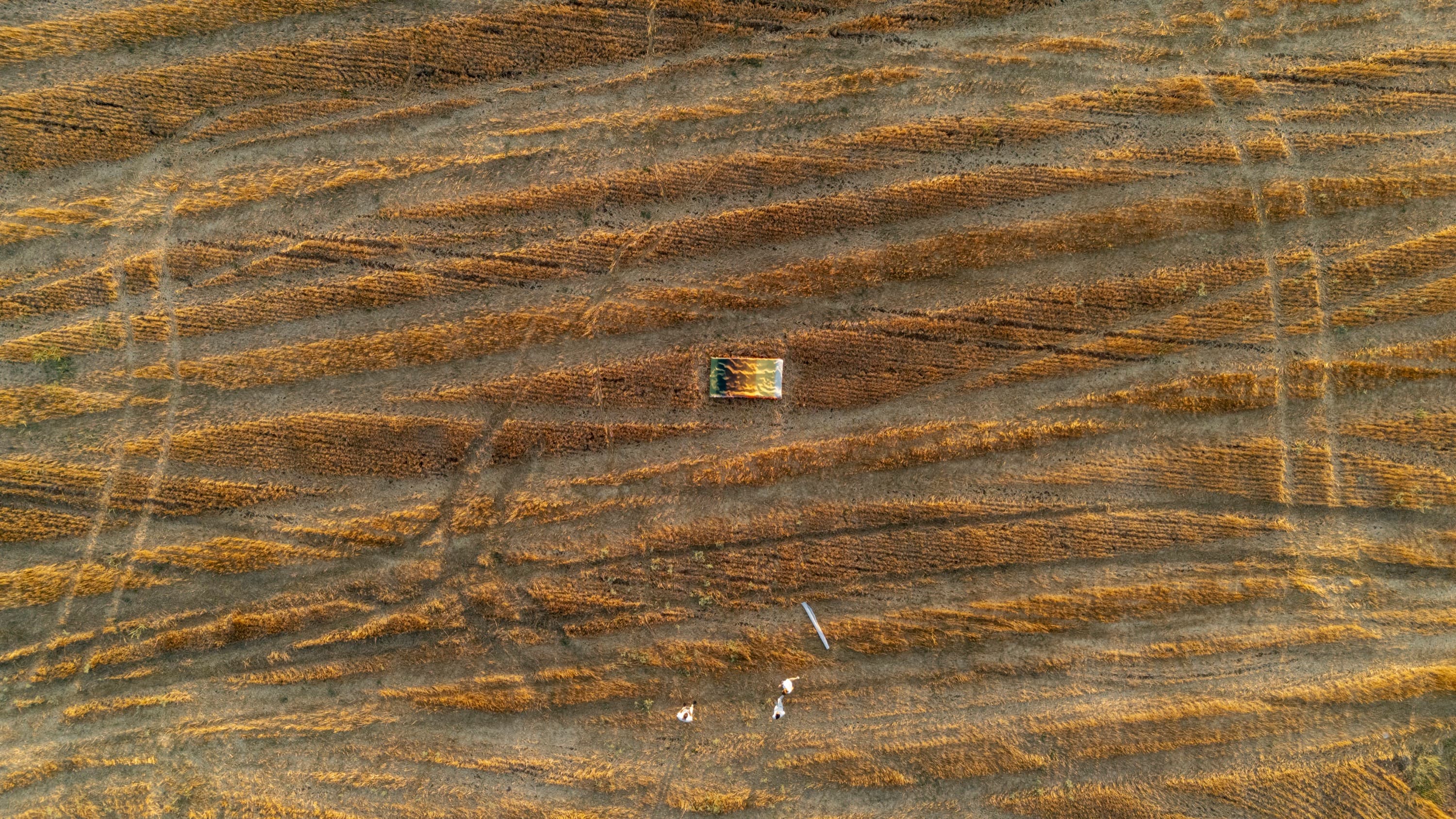 Complex Ties — image 12