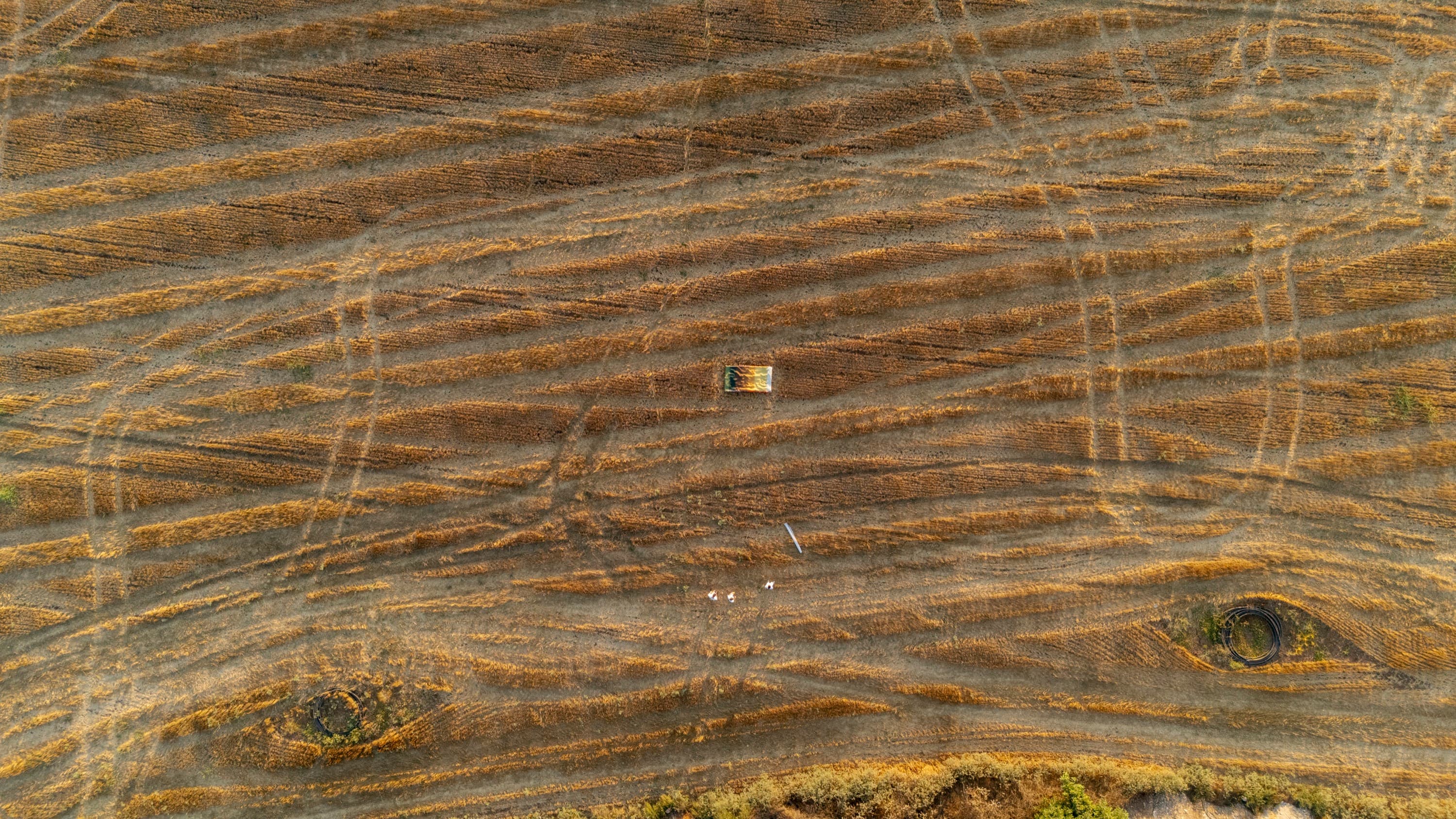 Complex Ties — image 13