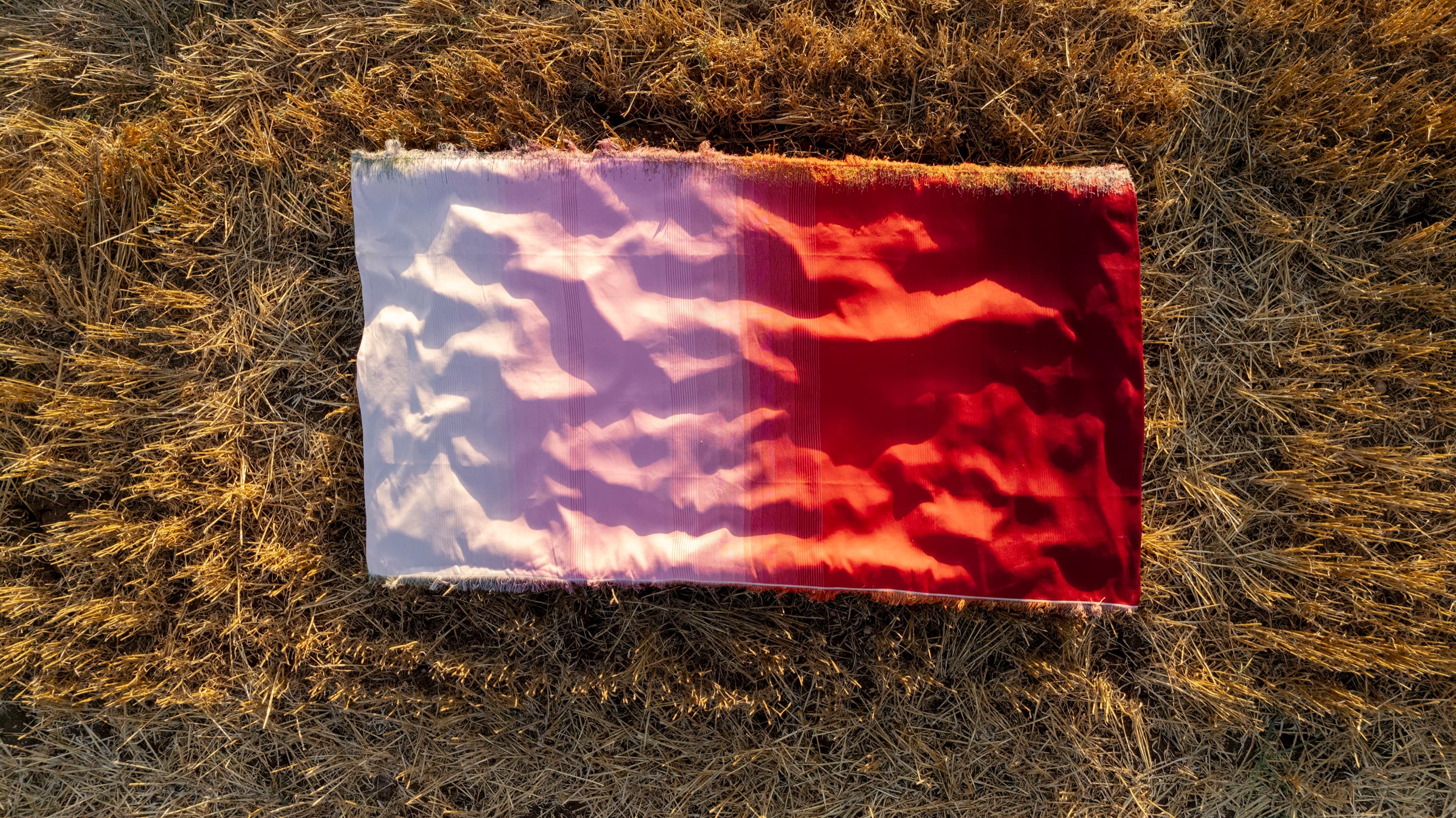 Complex Ties — image 2