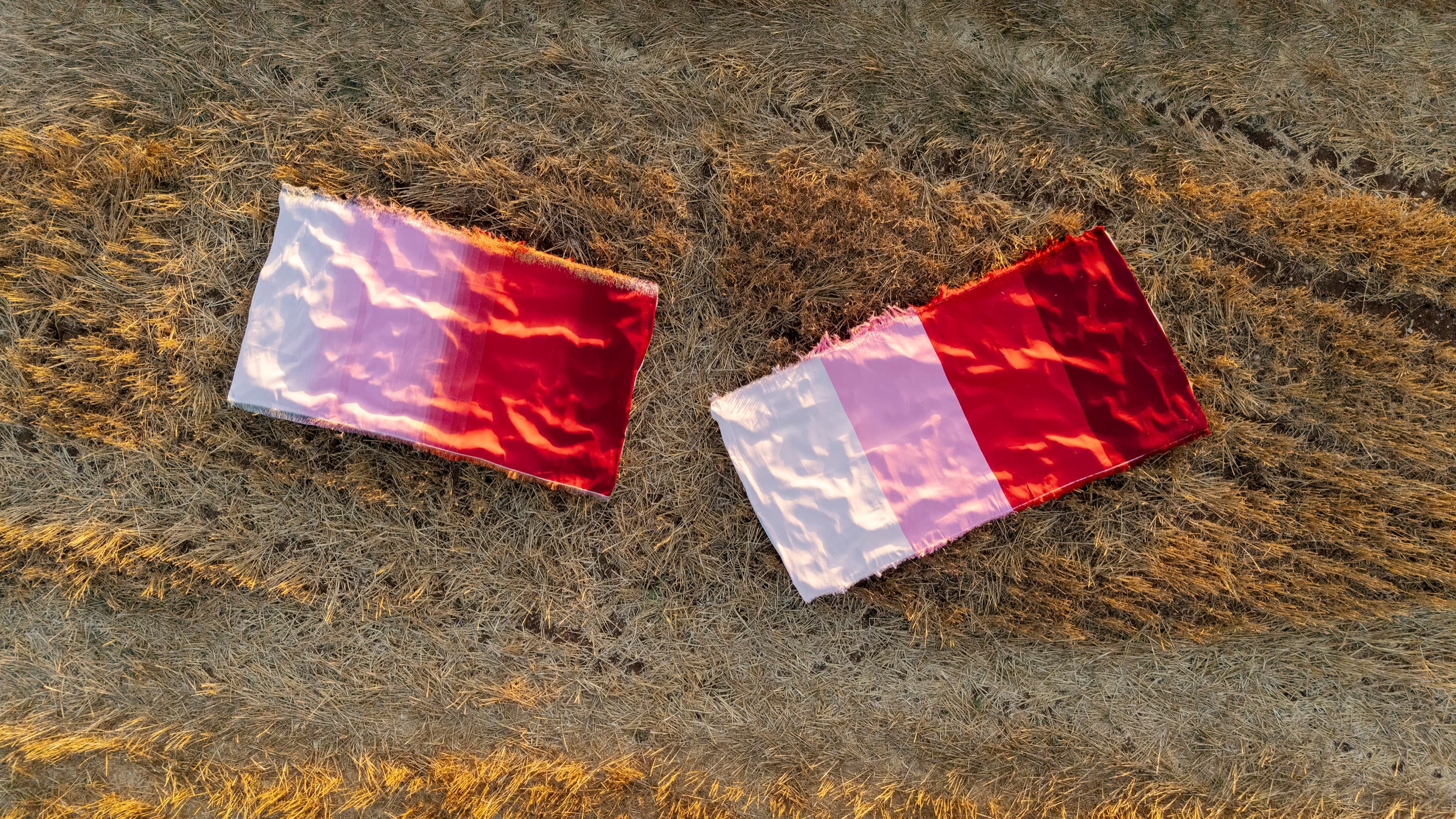 Complex Ties — image 3